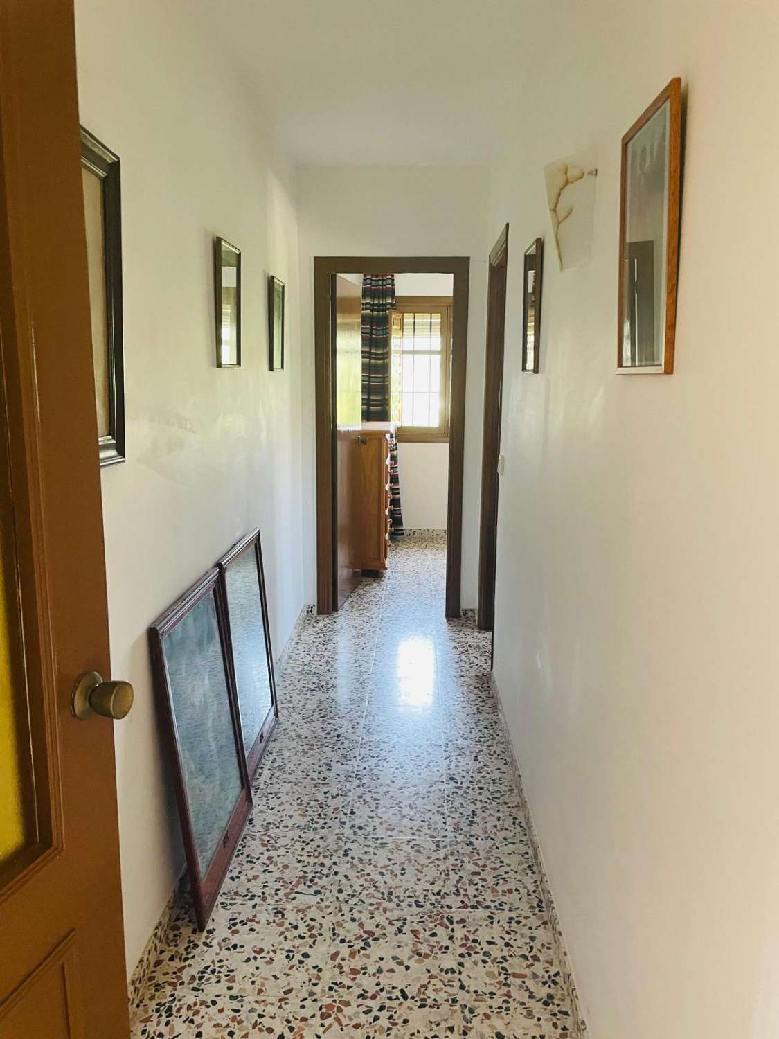 Country house with avocado trees in Almayate