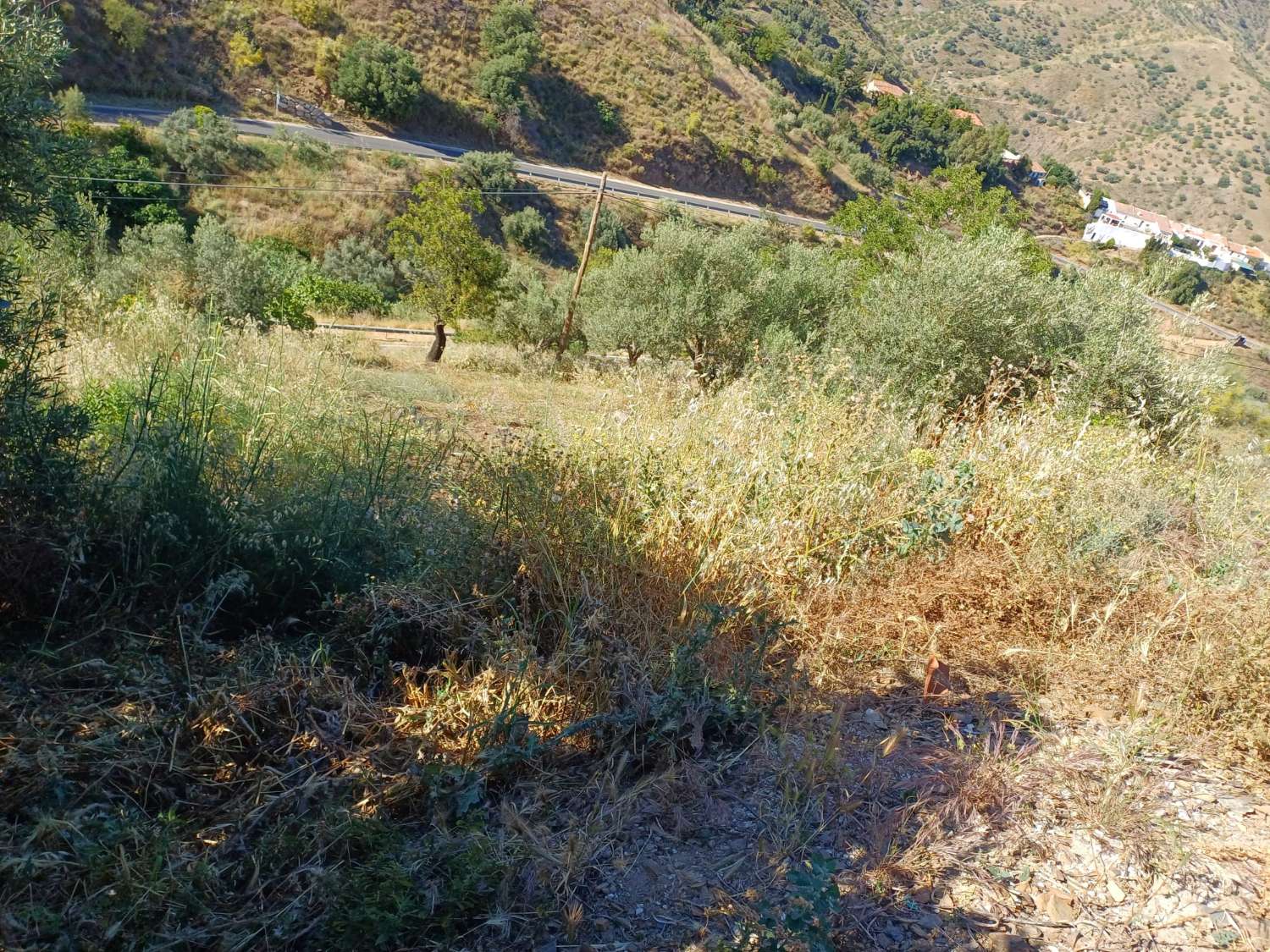 solar y parcela en moclinejo(los palmas)