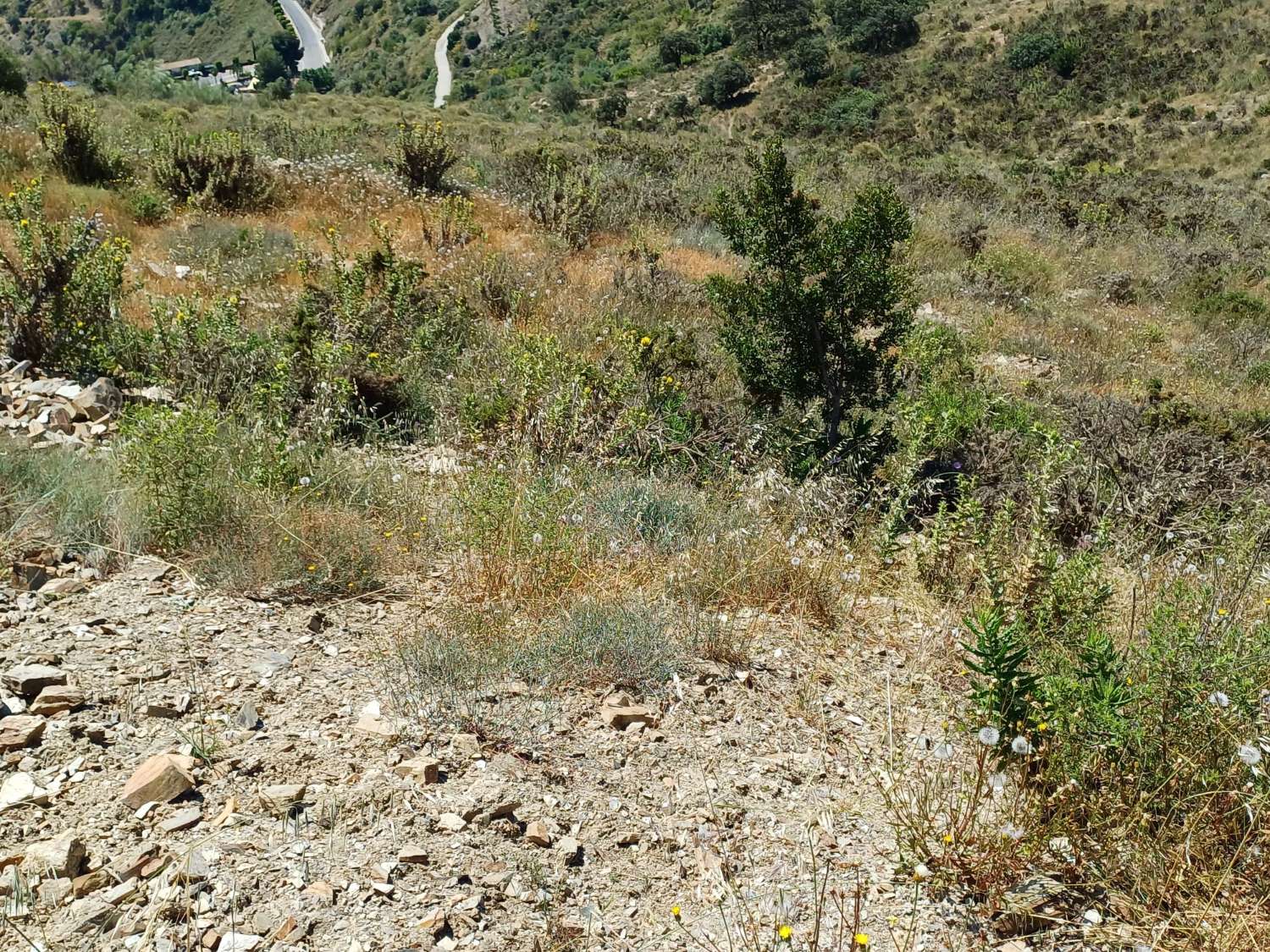 Parcela en moclinejo con vistas al mar