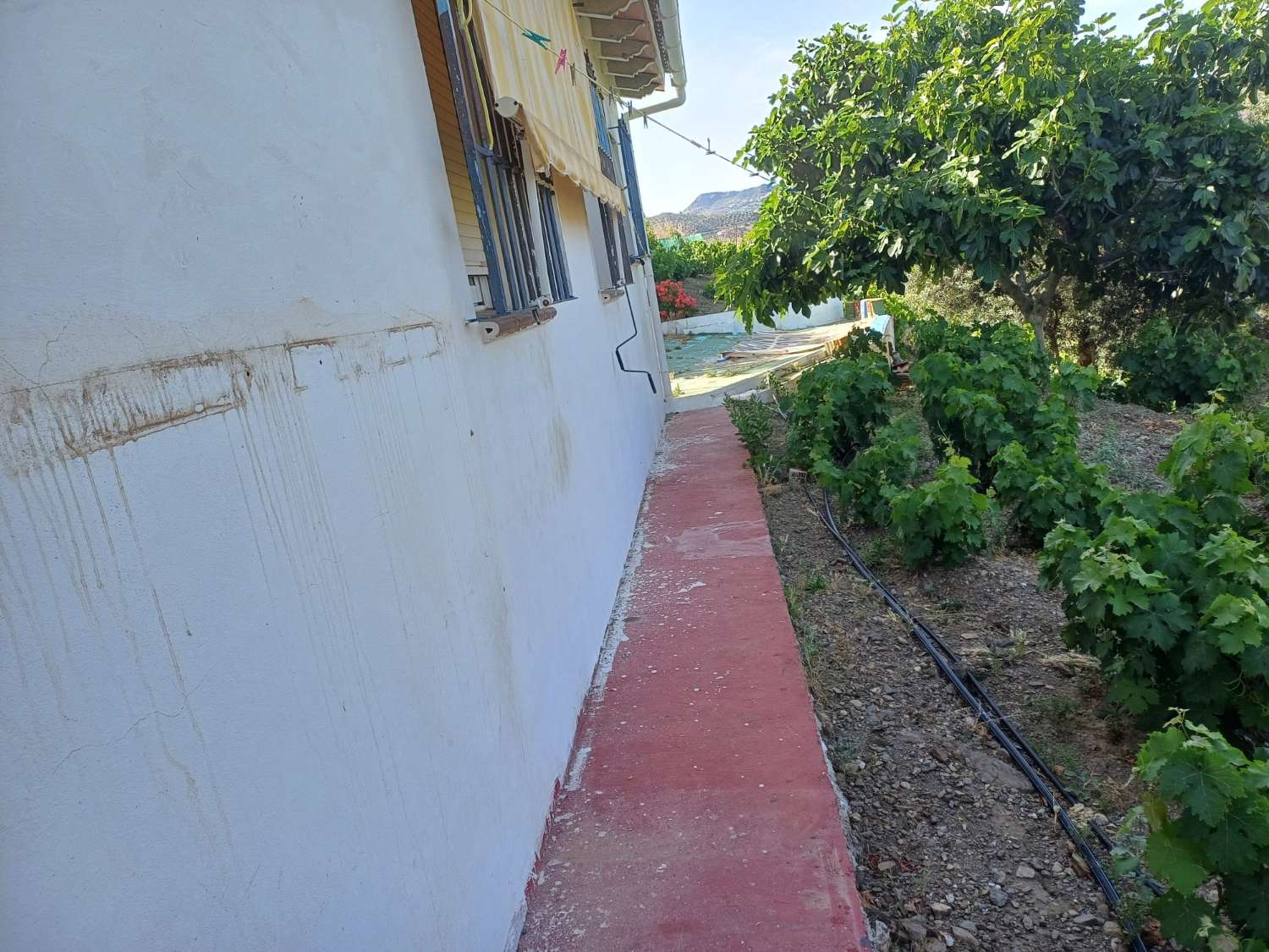 casa de campo en el borge
