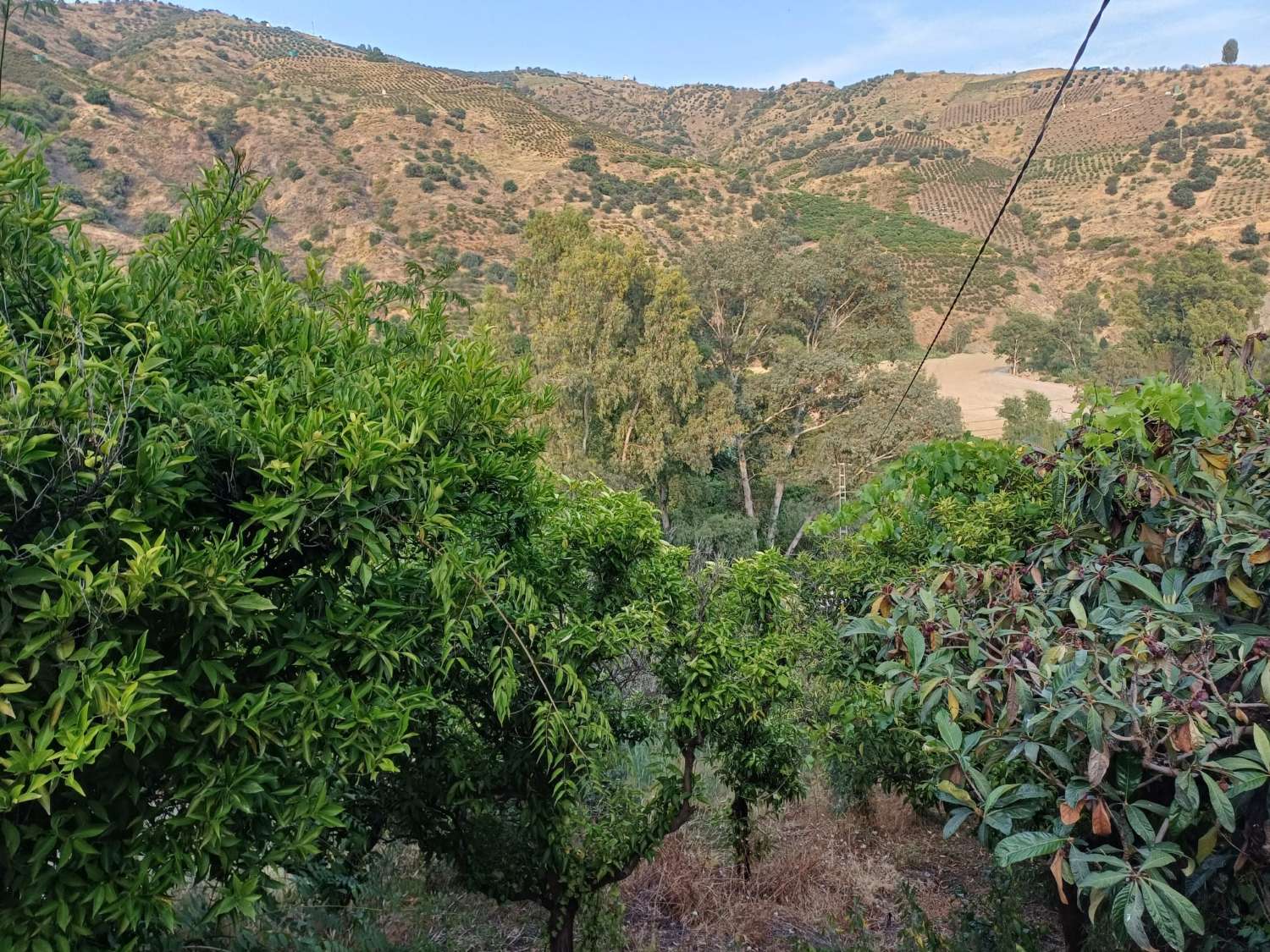 casa con parcela  en cutar