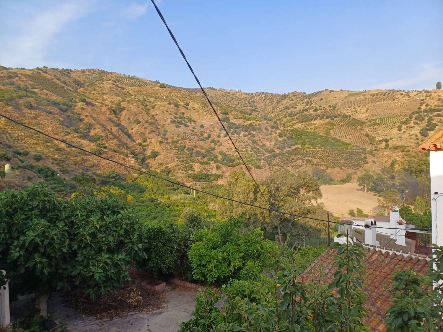 casa con parcela  en cutar