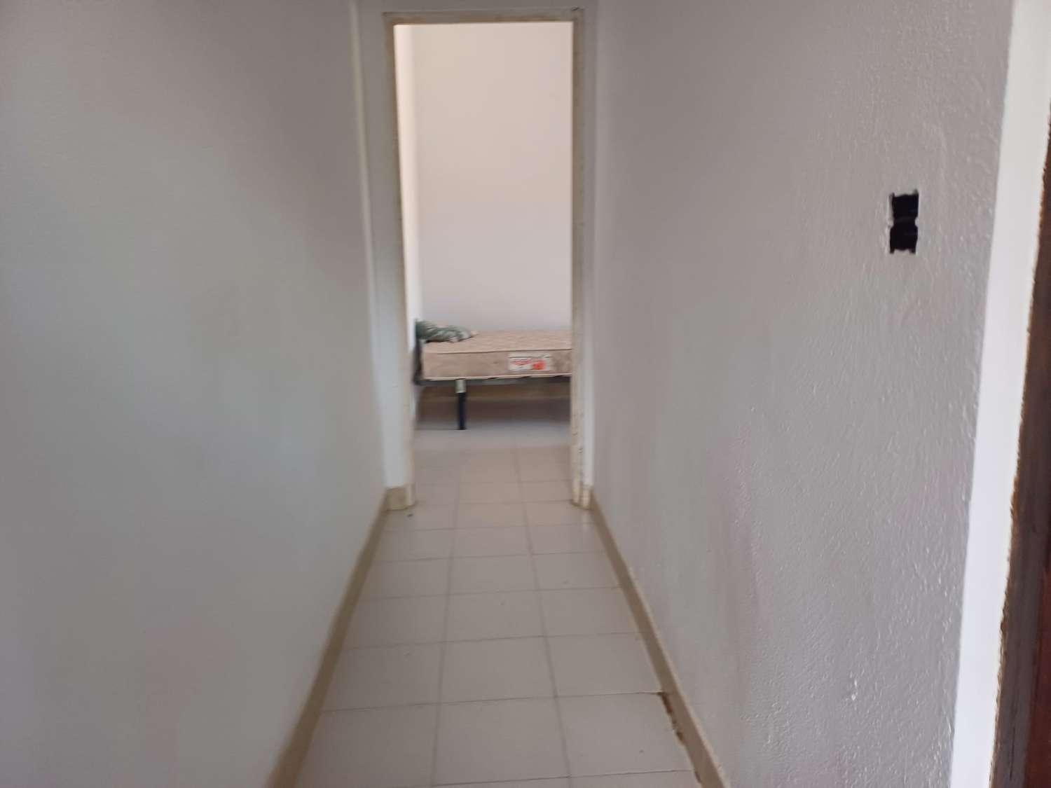 casa con parcela  en cutar