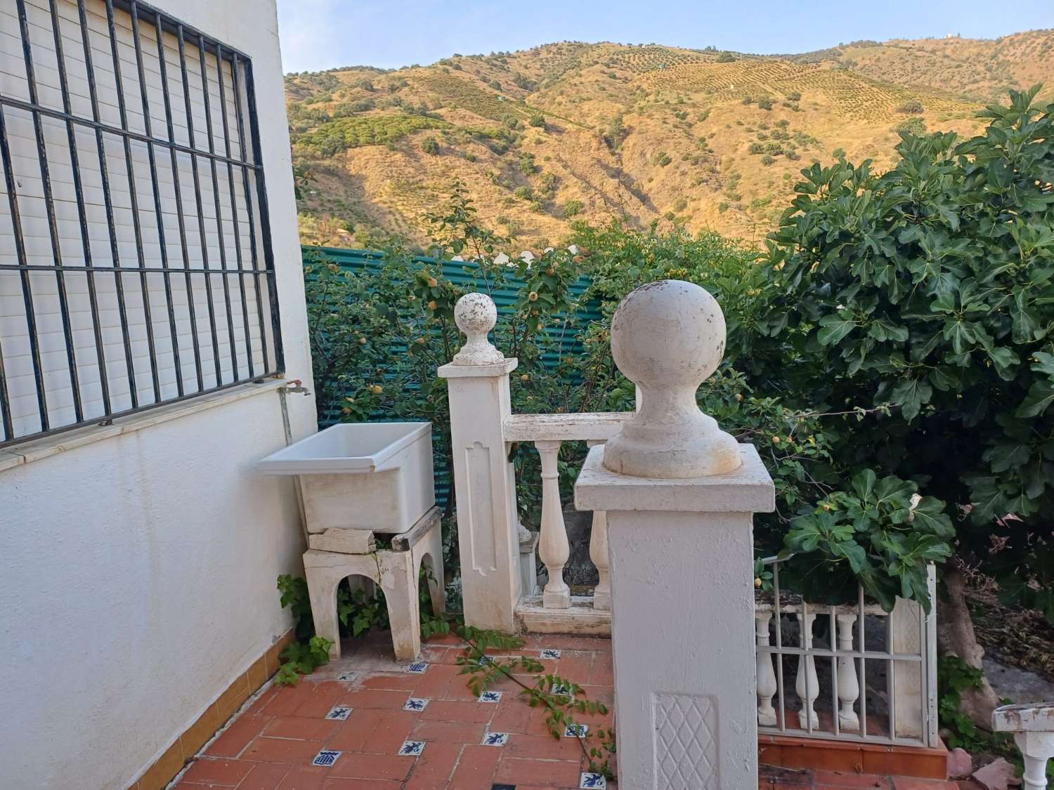 casa con parcela  en cutar