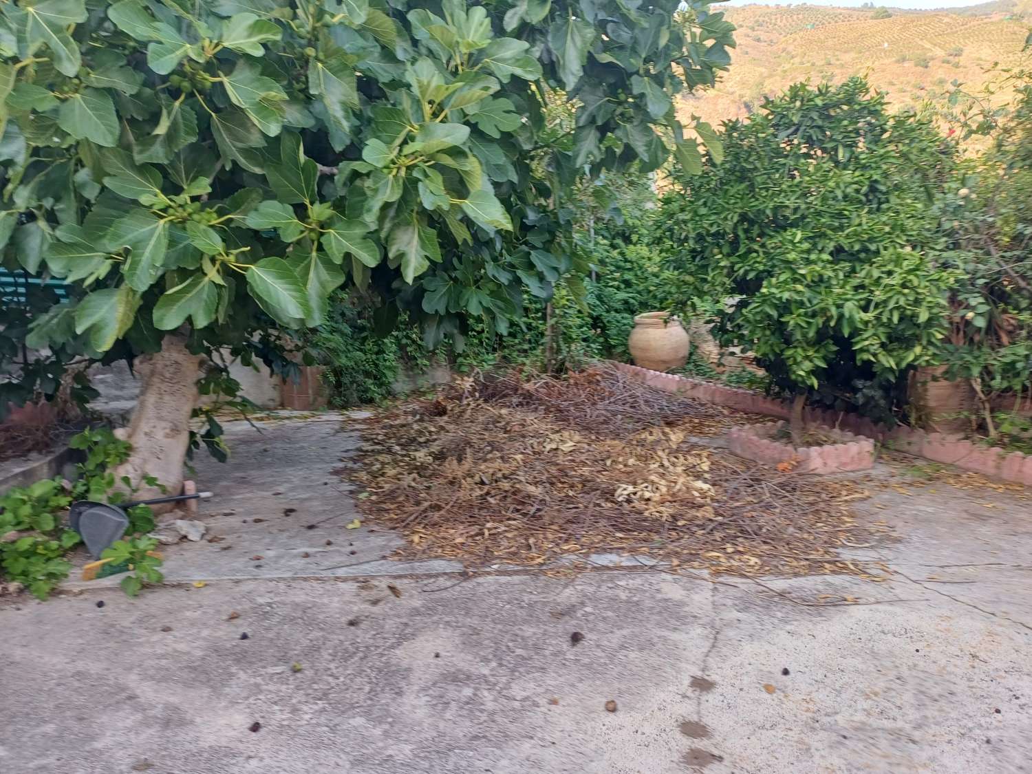 casa con parcela  en cutar
