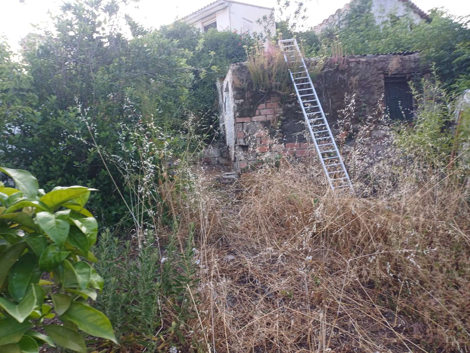 casa con parcela  en cutar