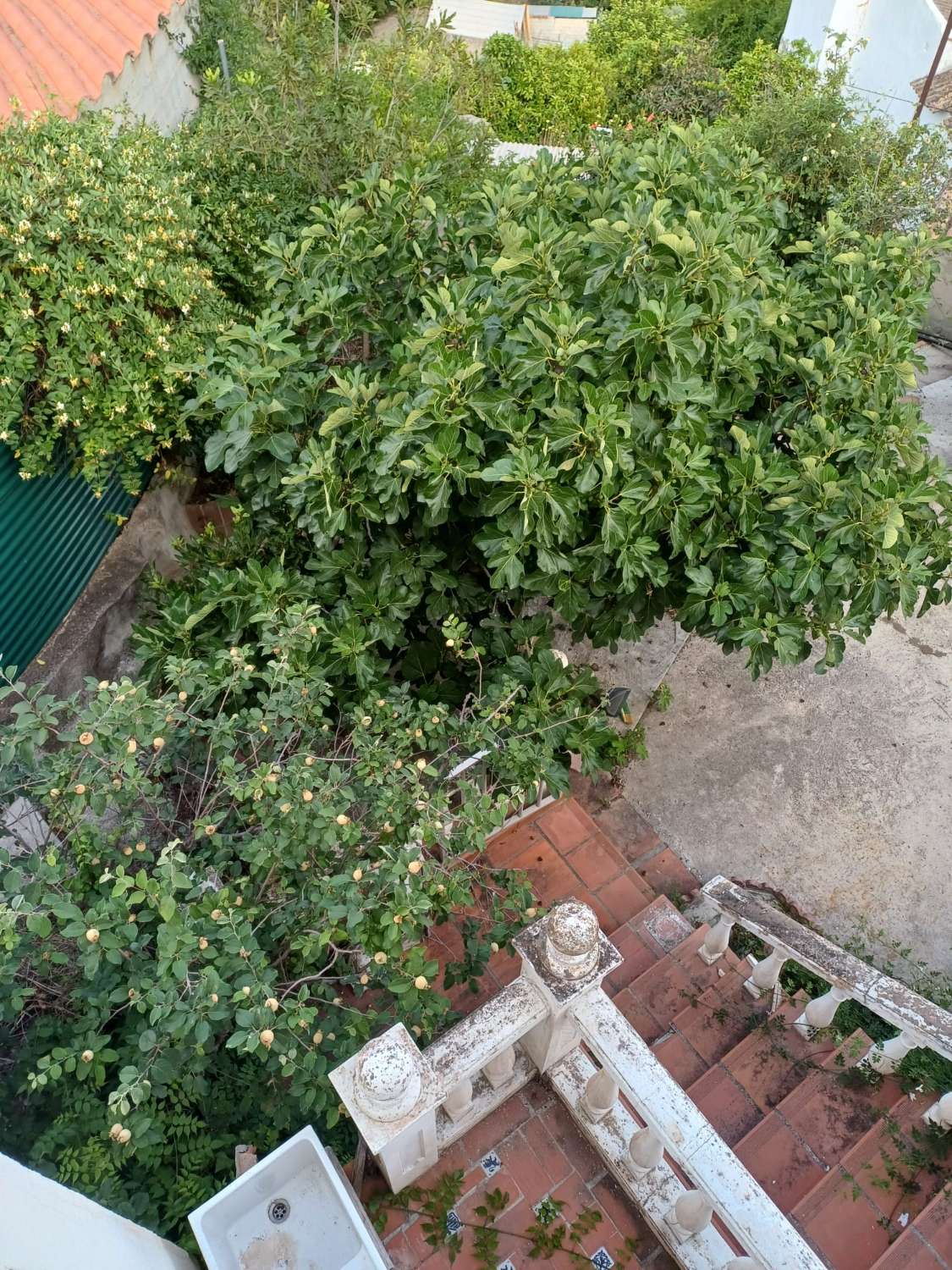 casa con parcela  en cutar