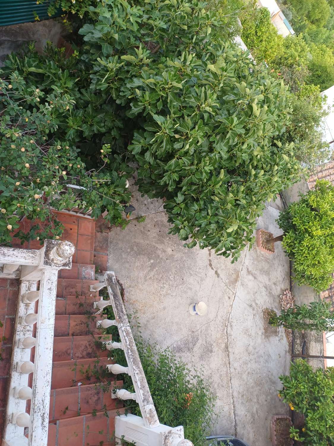 casa con parcela  en cutar