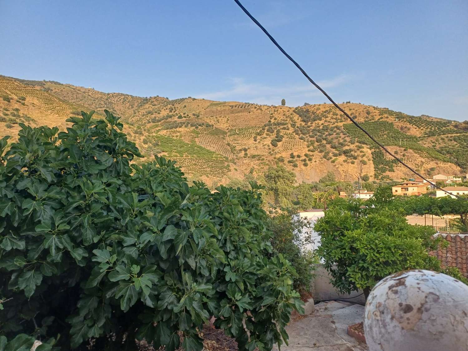 casa con parcela  en cutar
