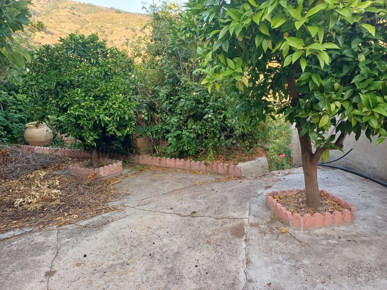 casa con parcela  en cutar