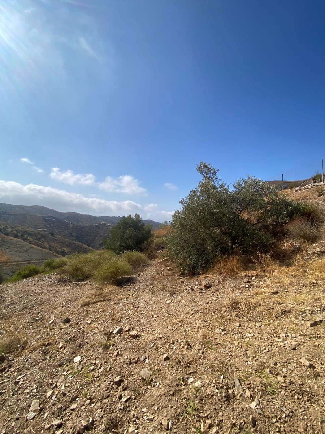 parcela en moclinejo (los narcizos)