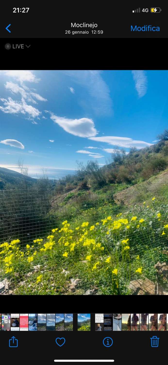 parcela en moclinejo (los narcizos)
