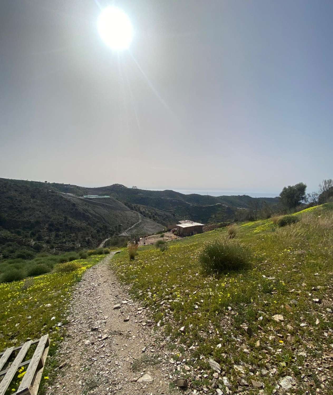 parcela en moclinejo (los narcizos)