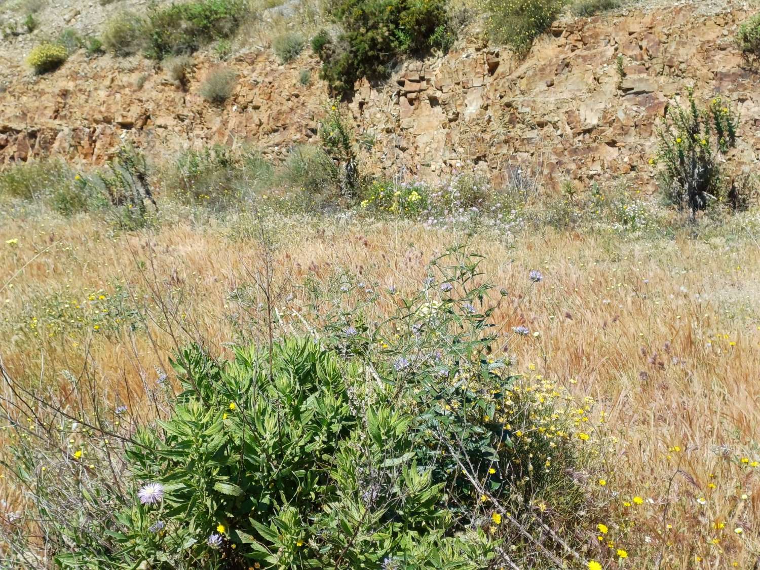 Plot v prodeji in Moclinejo