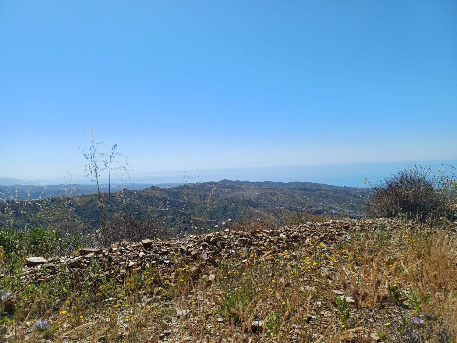 Plot v prodeji in Moclinejo