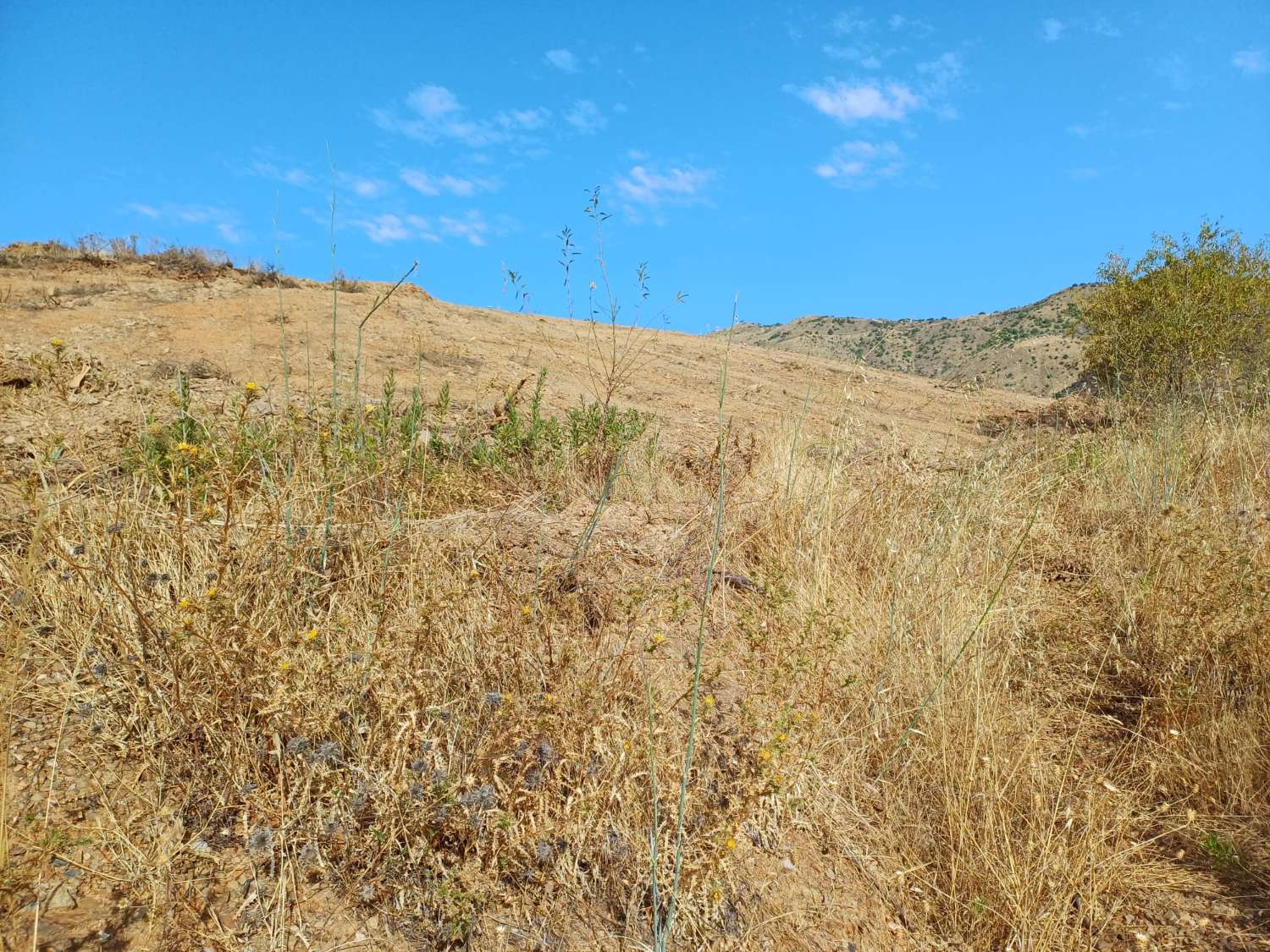 2 casas de campo a reformar