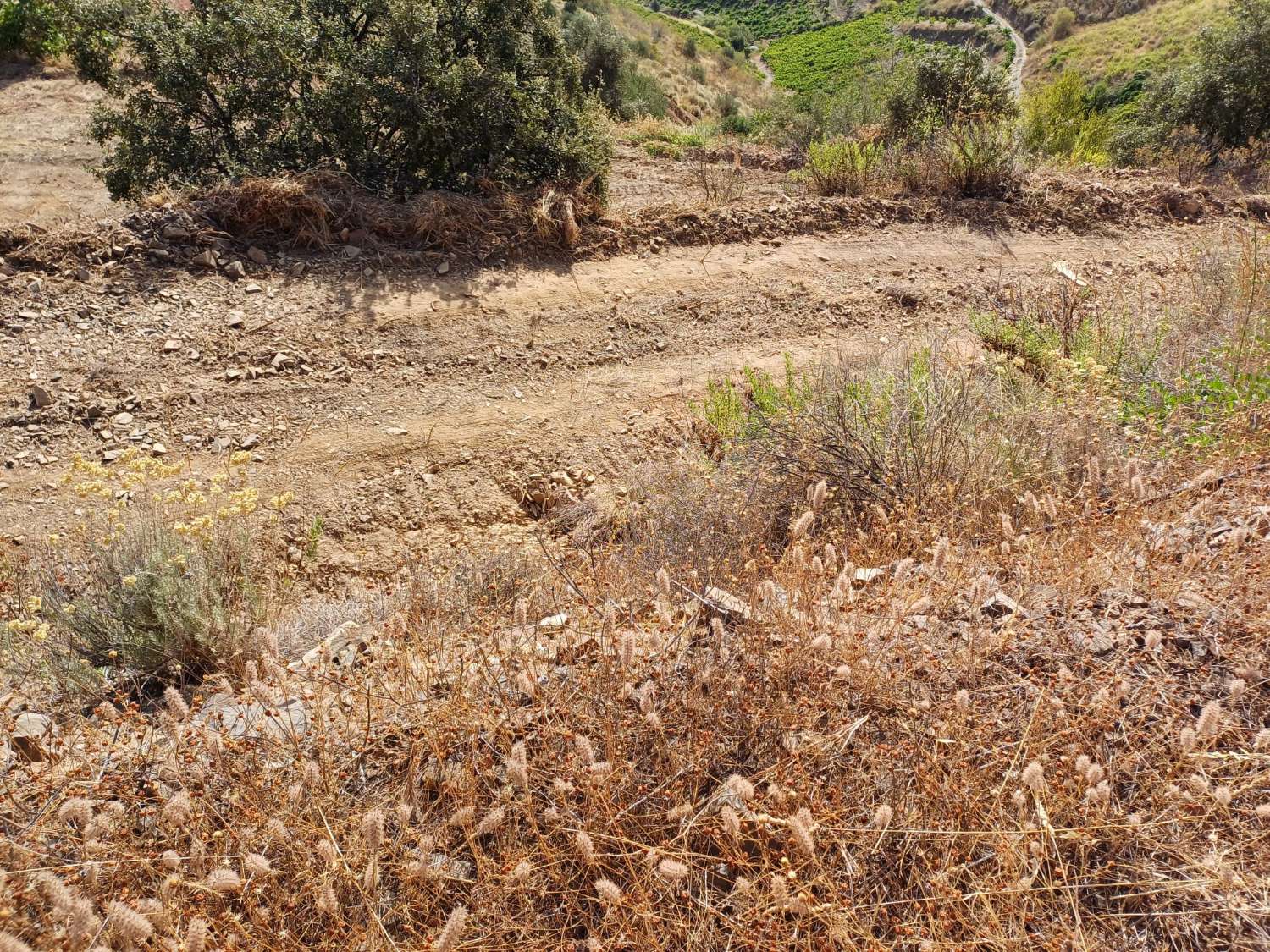 2 casas de campo a reformar