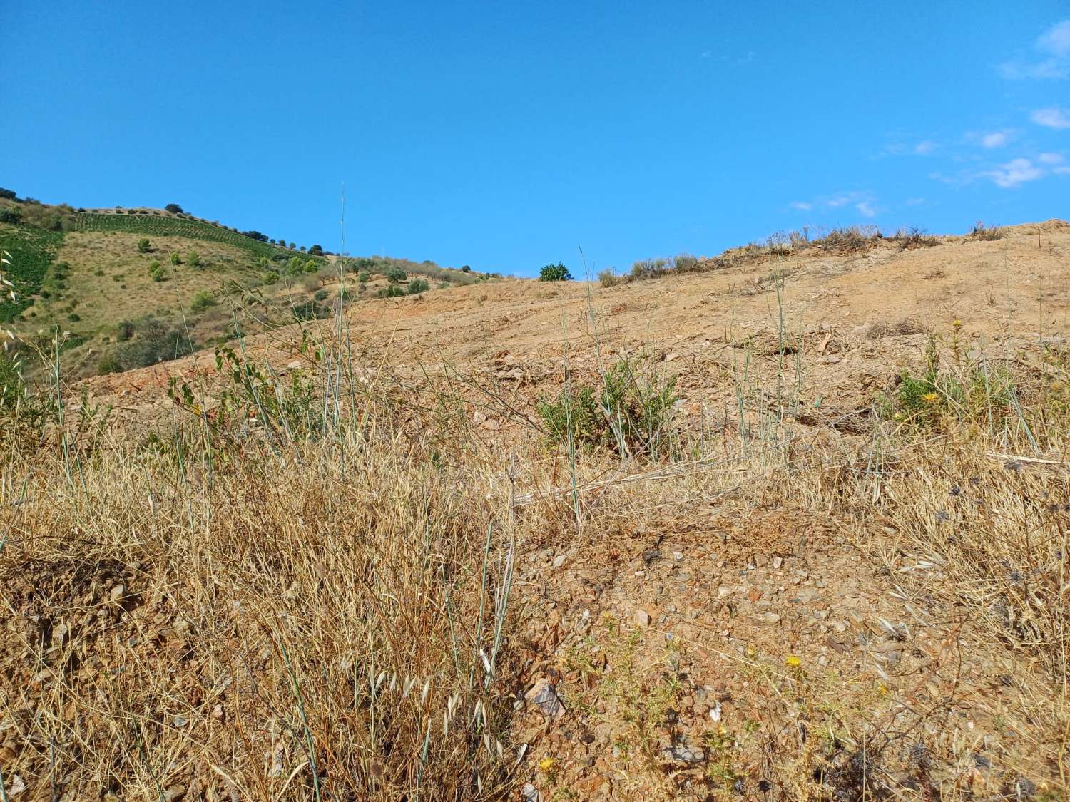 2 casas de campo a reformar