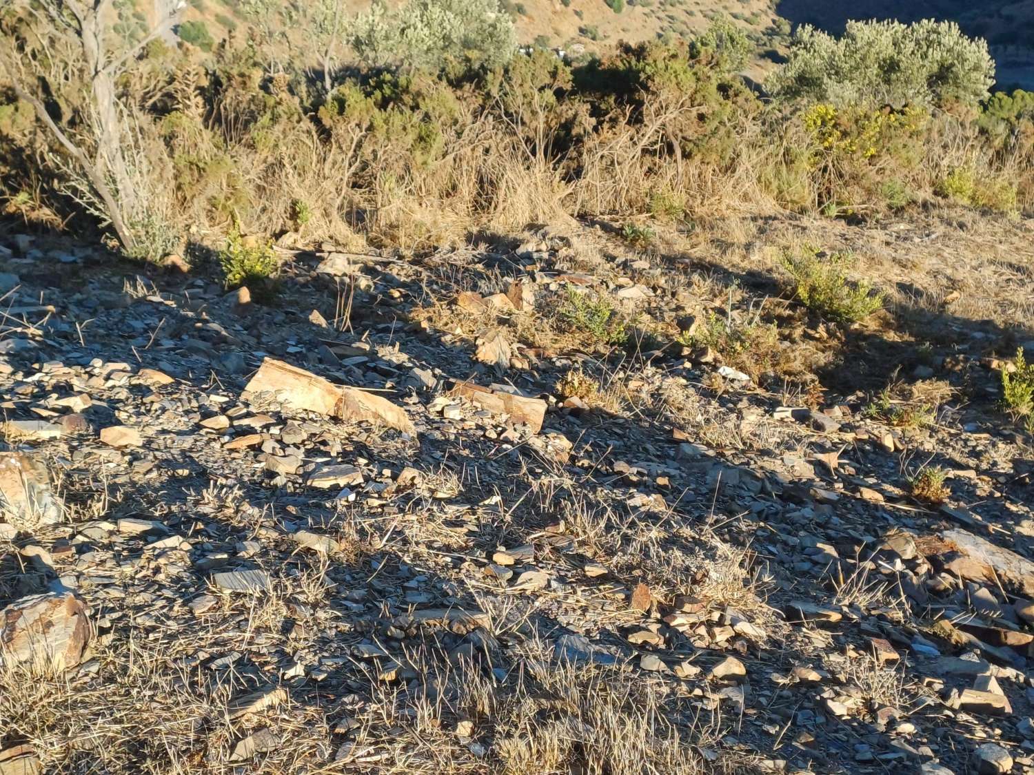 Terreno edificabile a Moclinejo con vista mare