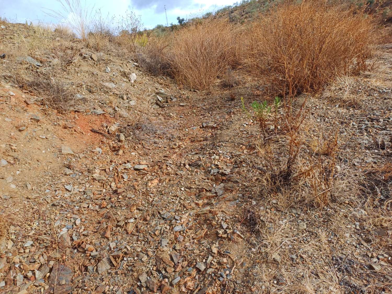 Tontti Añoreta Golfissa merinäköalalla