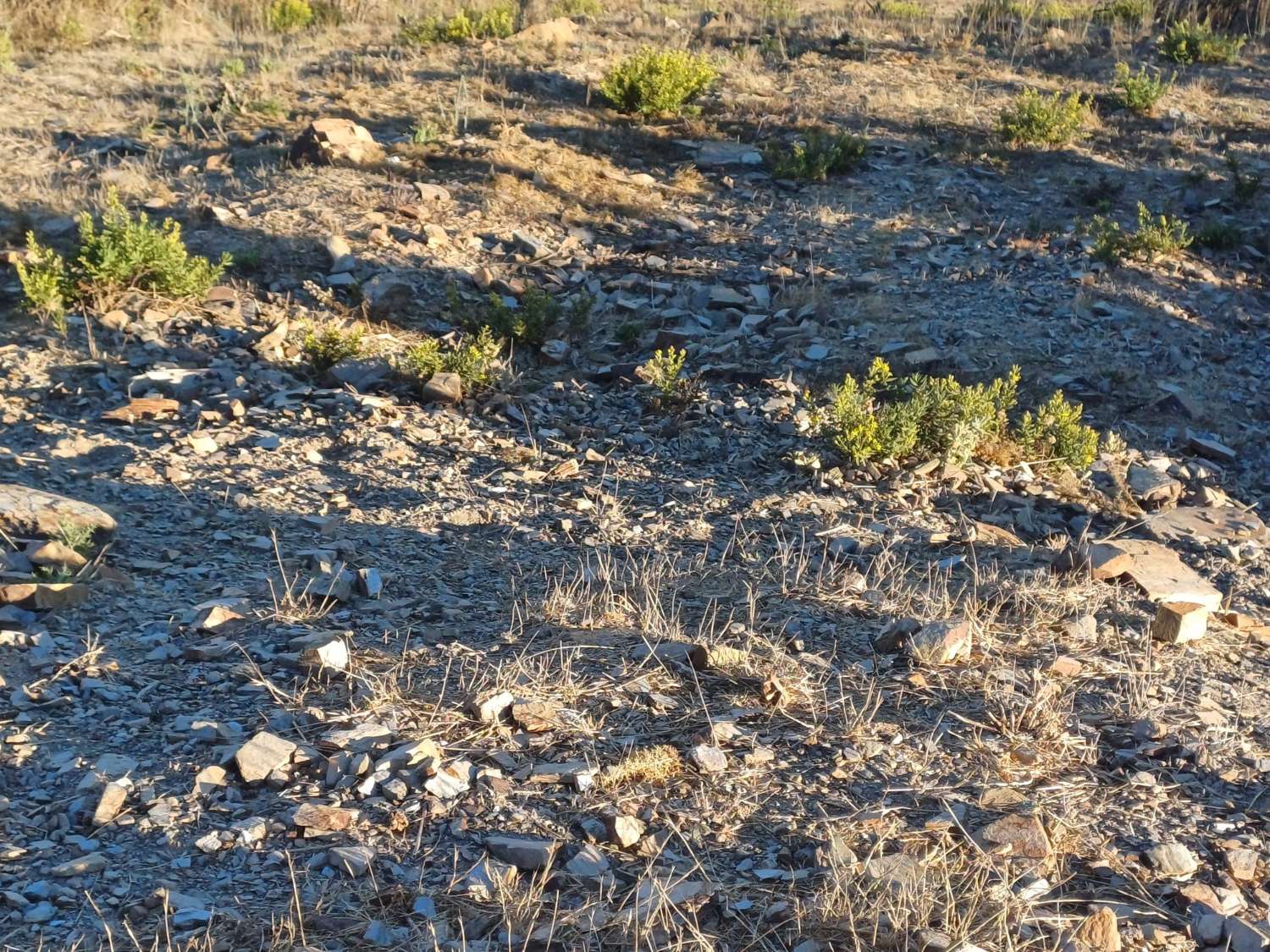 Terrain à Moclinejo avec vue sur mer