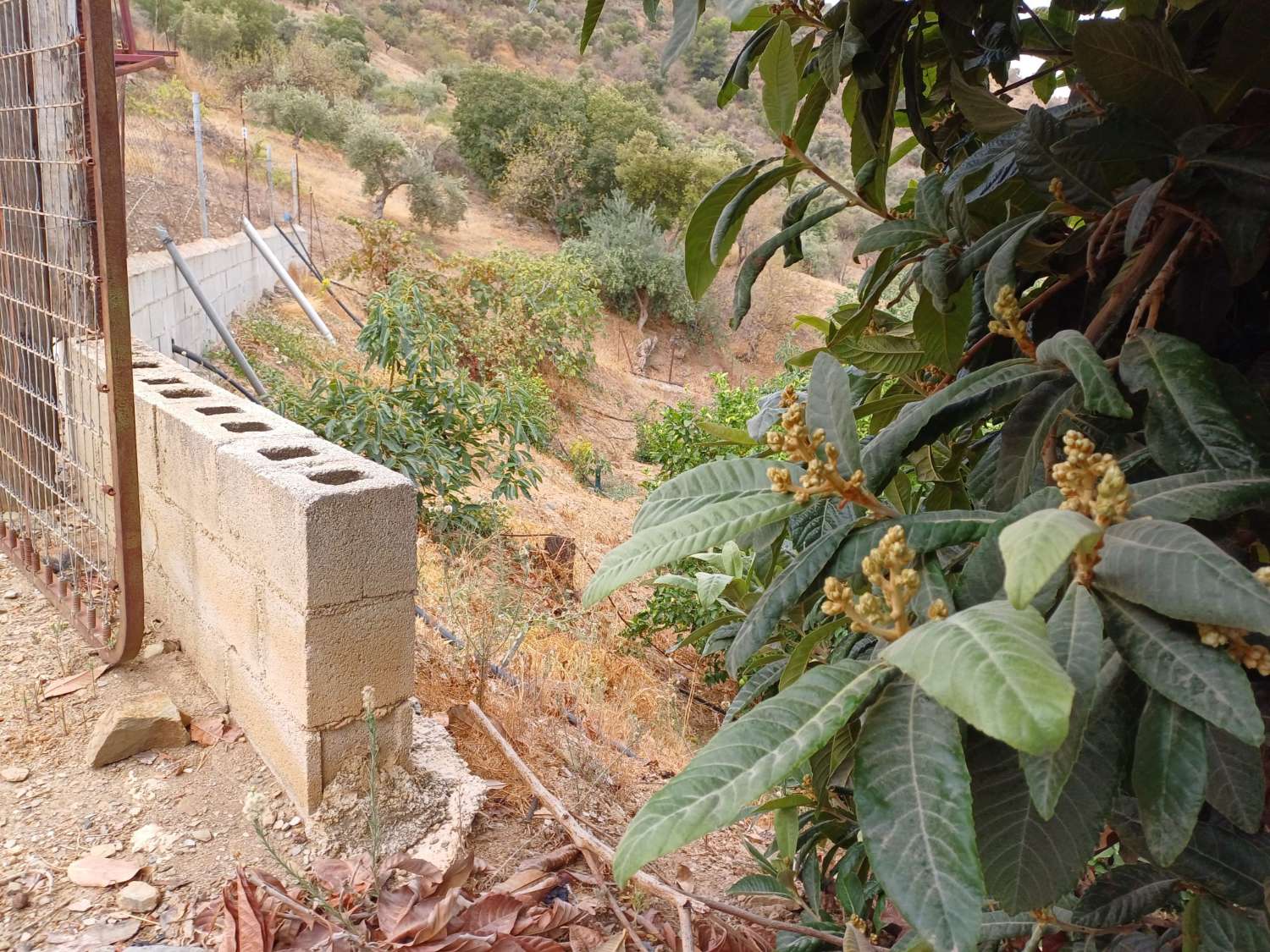 Parcela en totalan cerca del pueblo