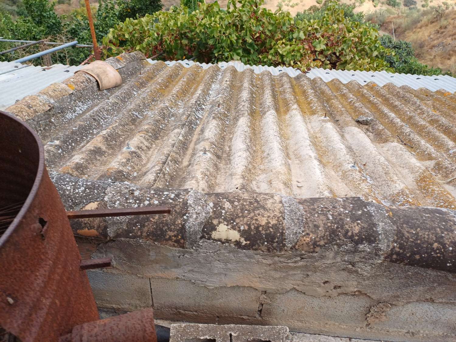 Parcela en totalan cerca del pueblo