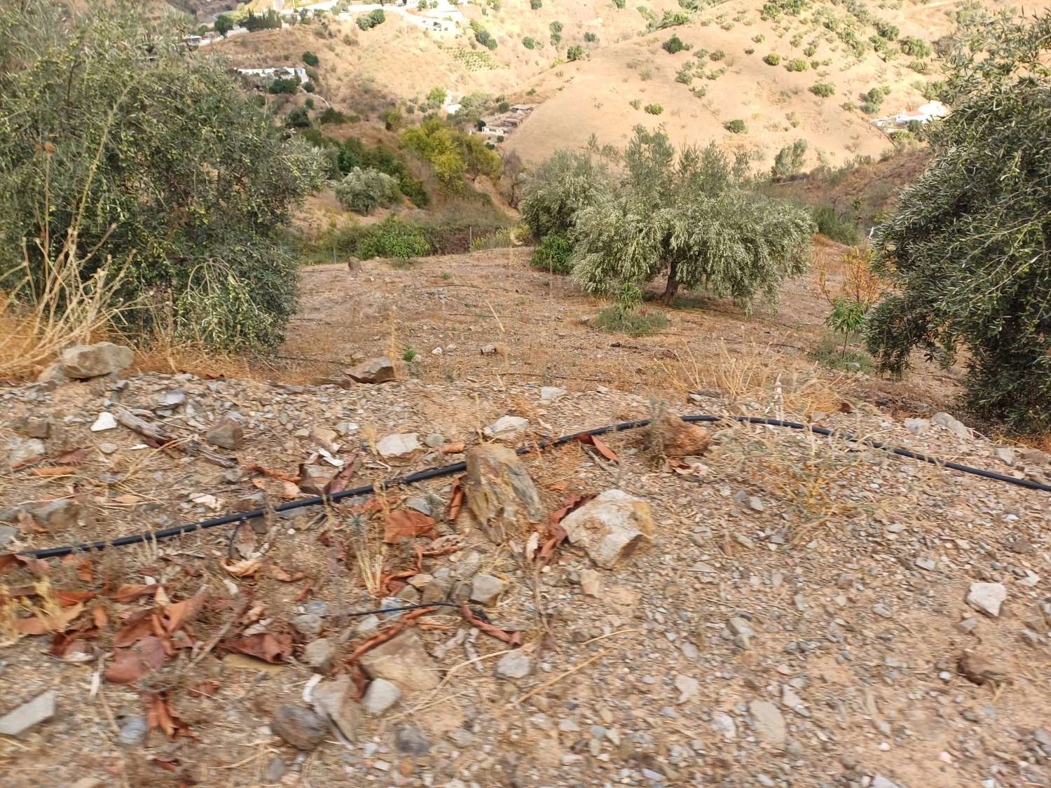 Parcela en totalan cerca del pueblo
