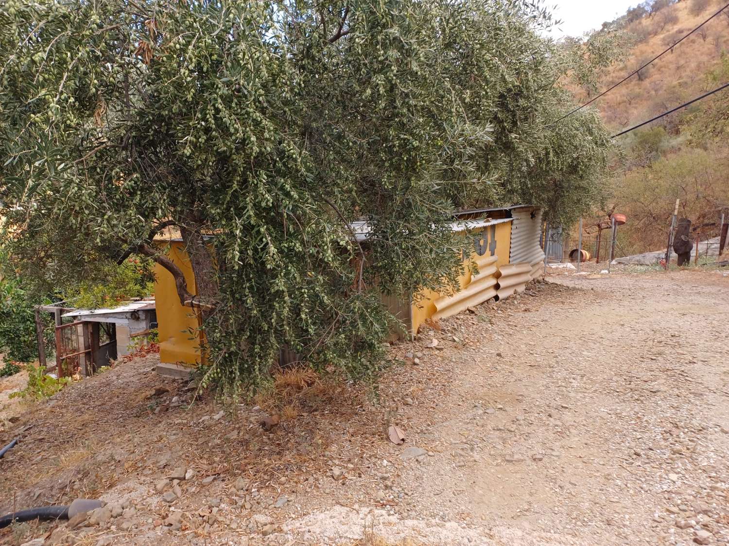 Parcela en totalan cerca del pueblo