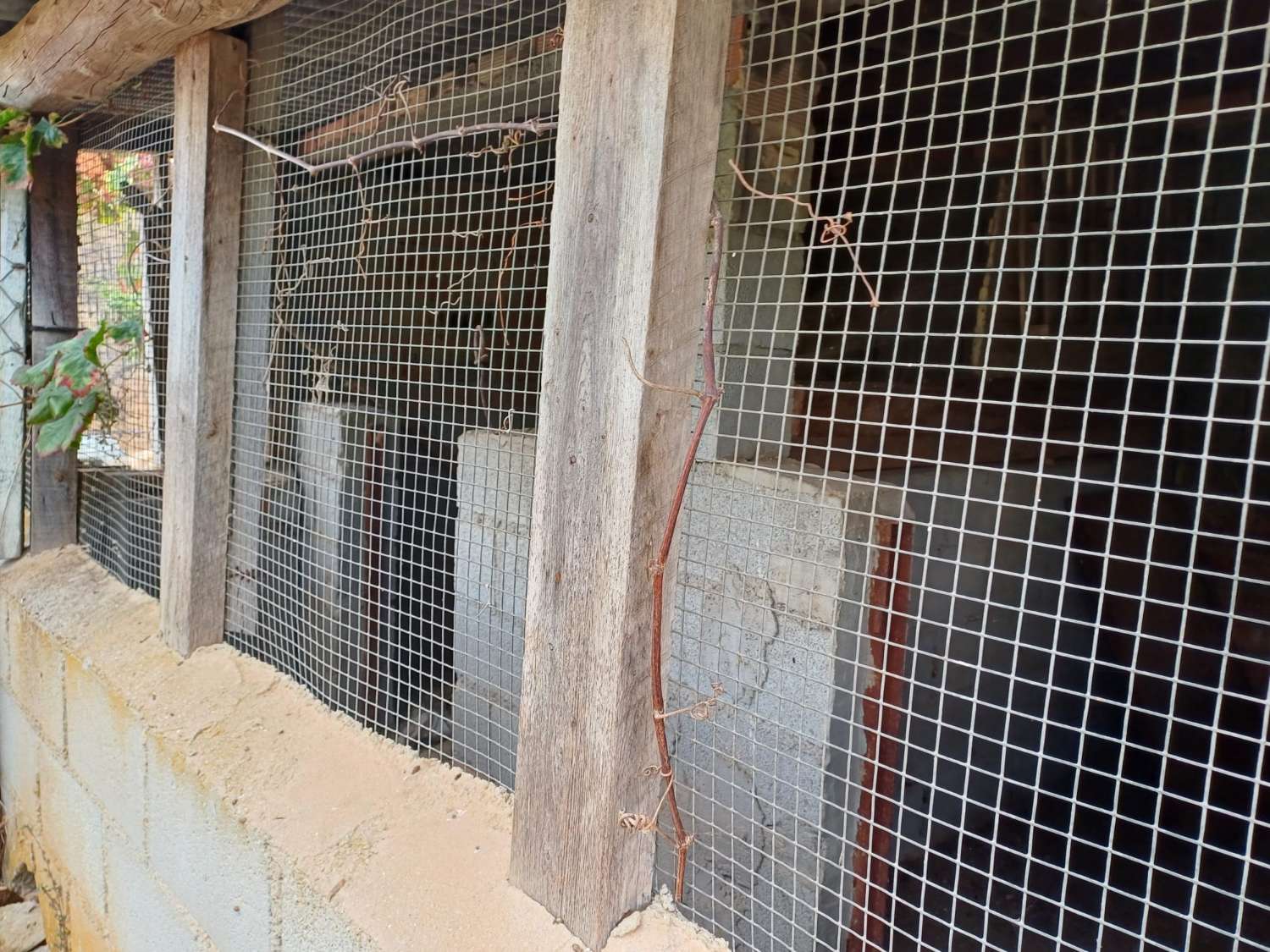 Parcela en totalan cerca del pueblo