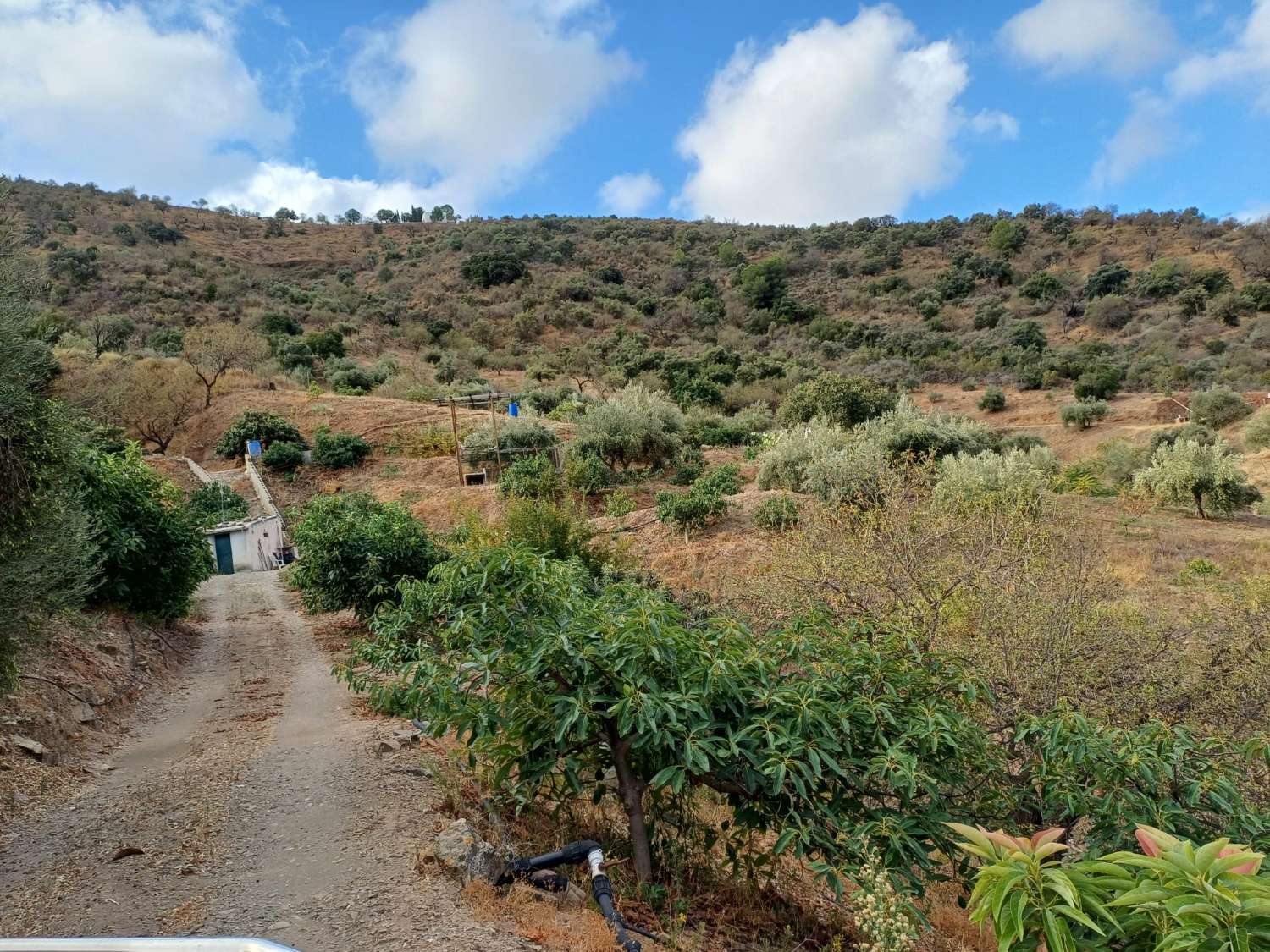 Parcela en totalan cerca del pueblo