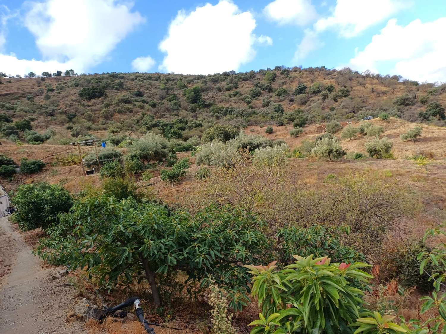 Parcela en totalan cerca del pueblo