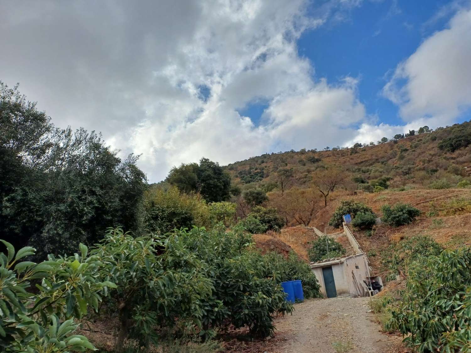 Parcela en totalan cerca del pueblo