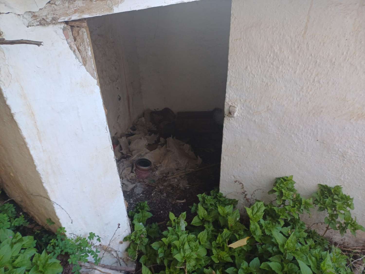 Дом в Альмачаре будет отремонтирован