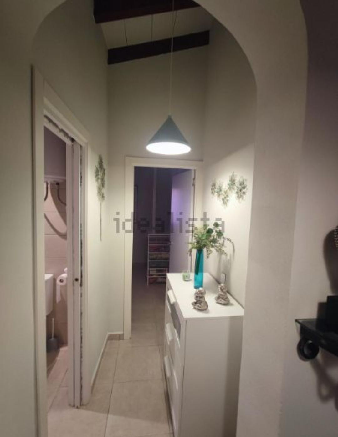 Ферма манго и авокадо с домом в Иснате