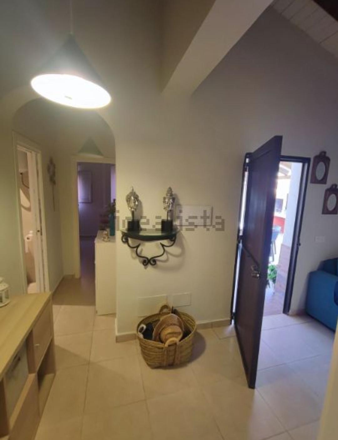 Ферма манго и авокадо с домом в Иснате