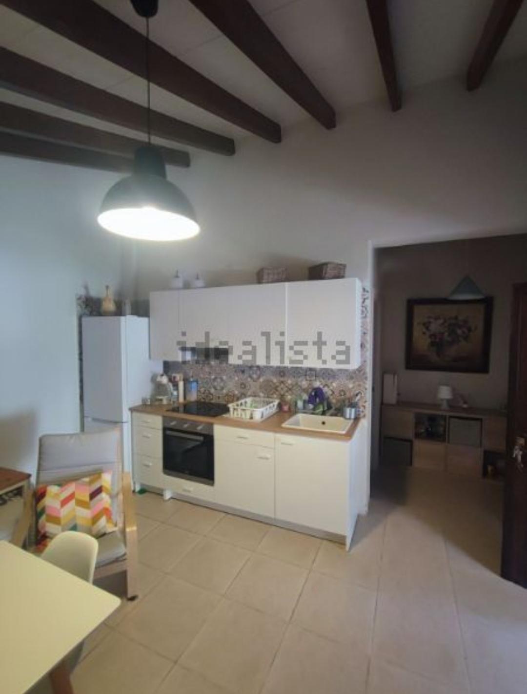 Ферма манго и авокадо с домом в Иснате