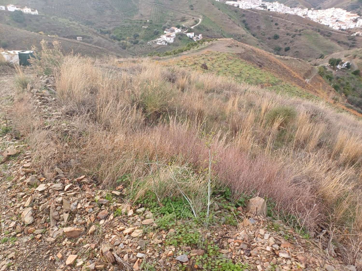 قطعة أرض للبيع في Almáchar