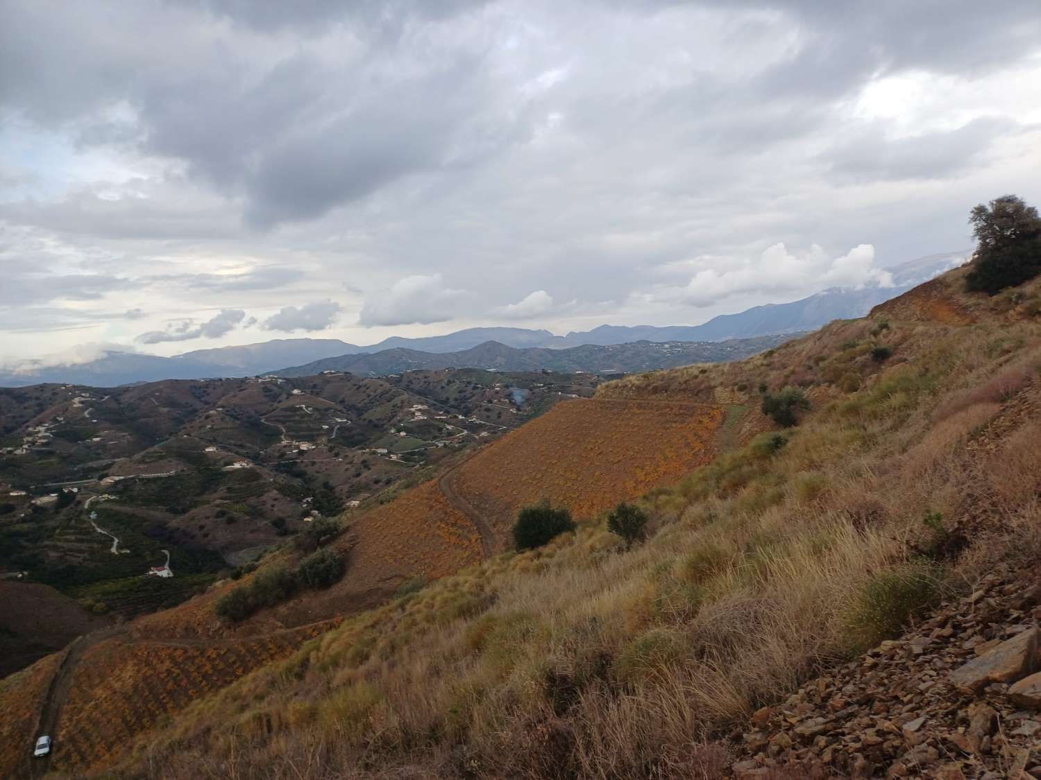 قطعة أرض للبيع في Almáchar