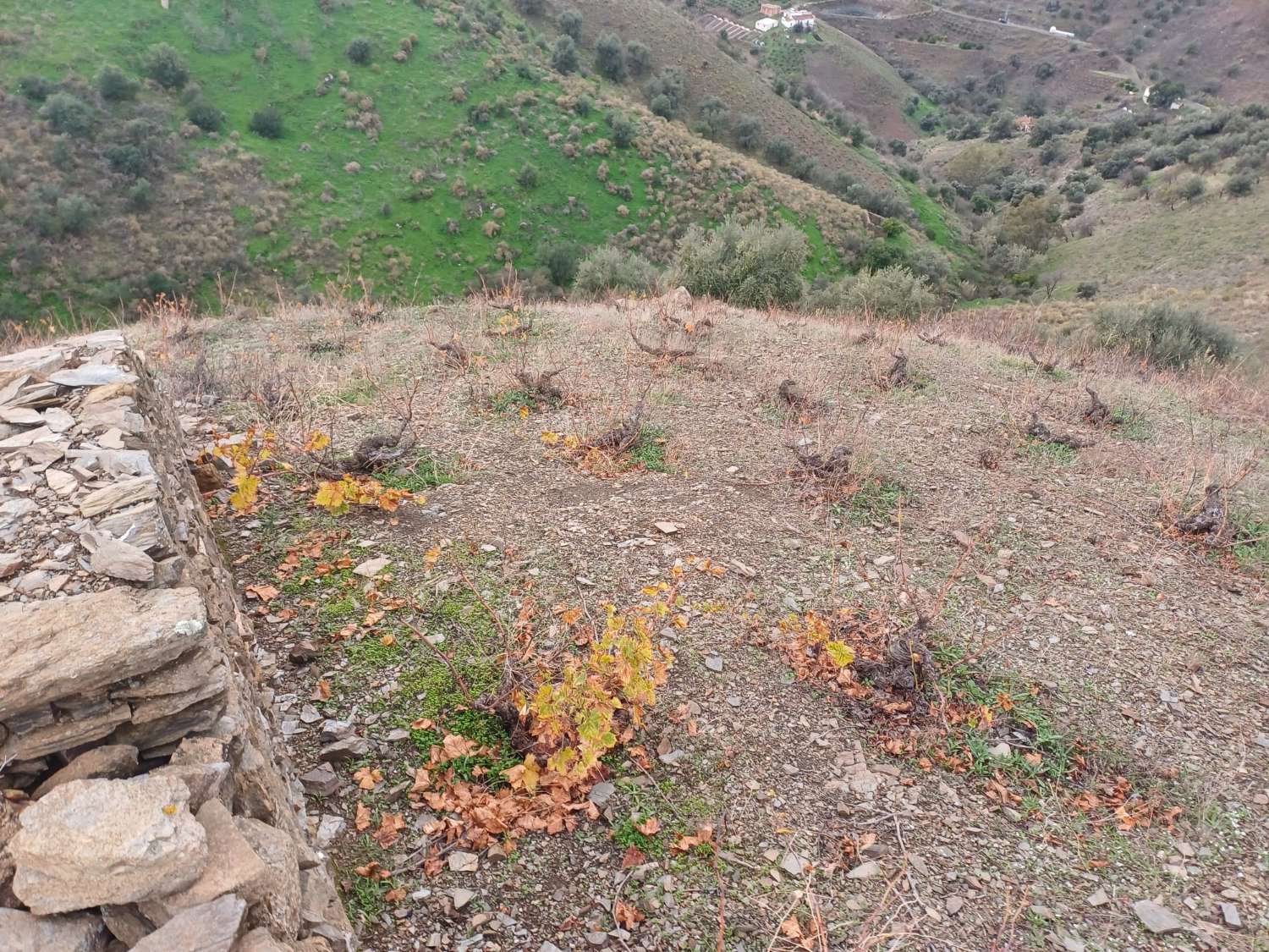 قطعة أرض للبيع في Almáchar