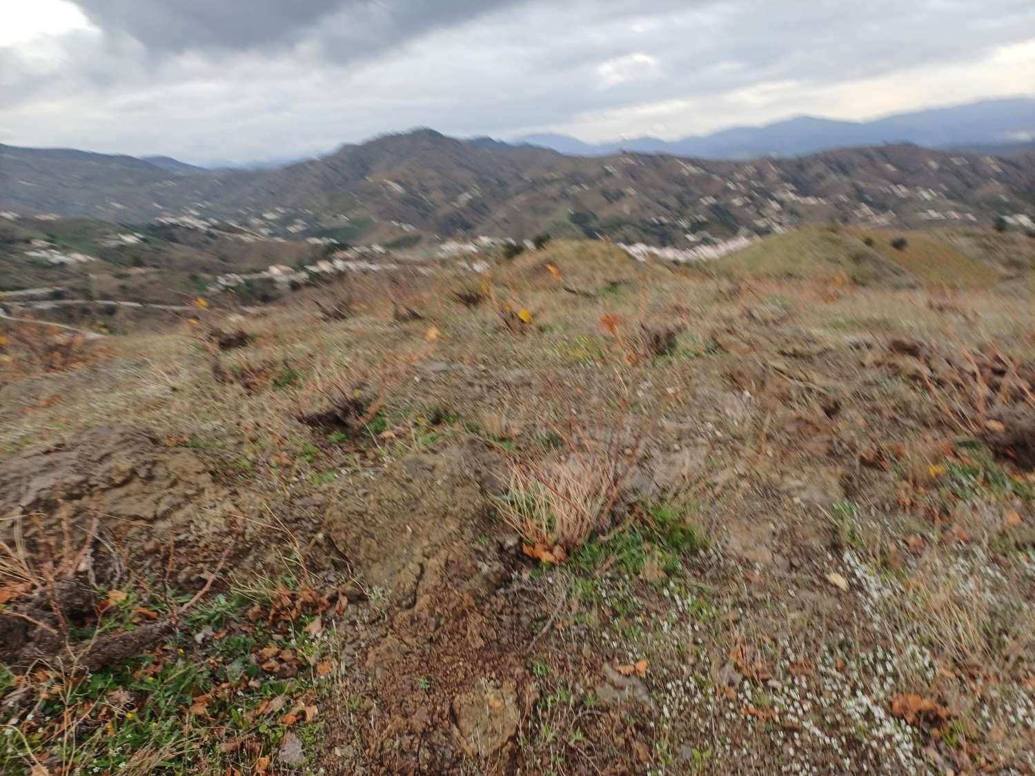 قطعة أرض للبيع في Almáchar