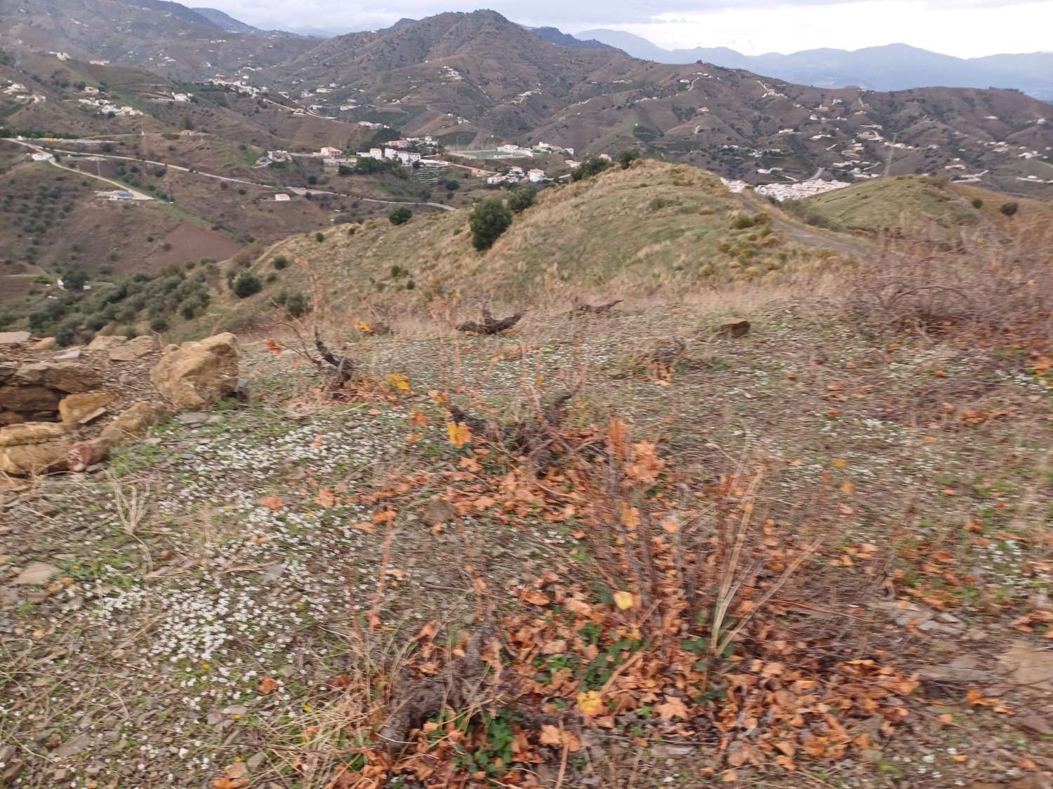 قطعة أرض للبيع في Almáchar