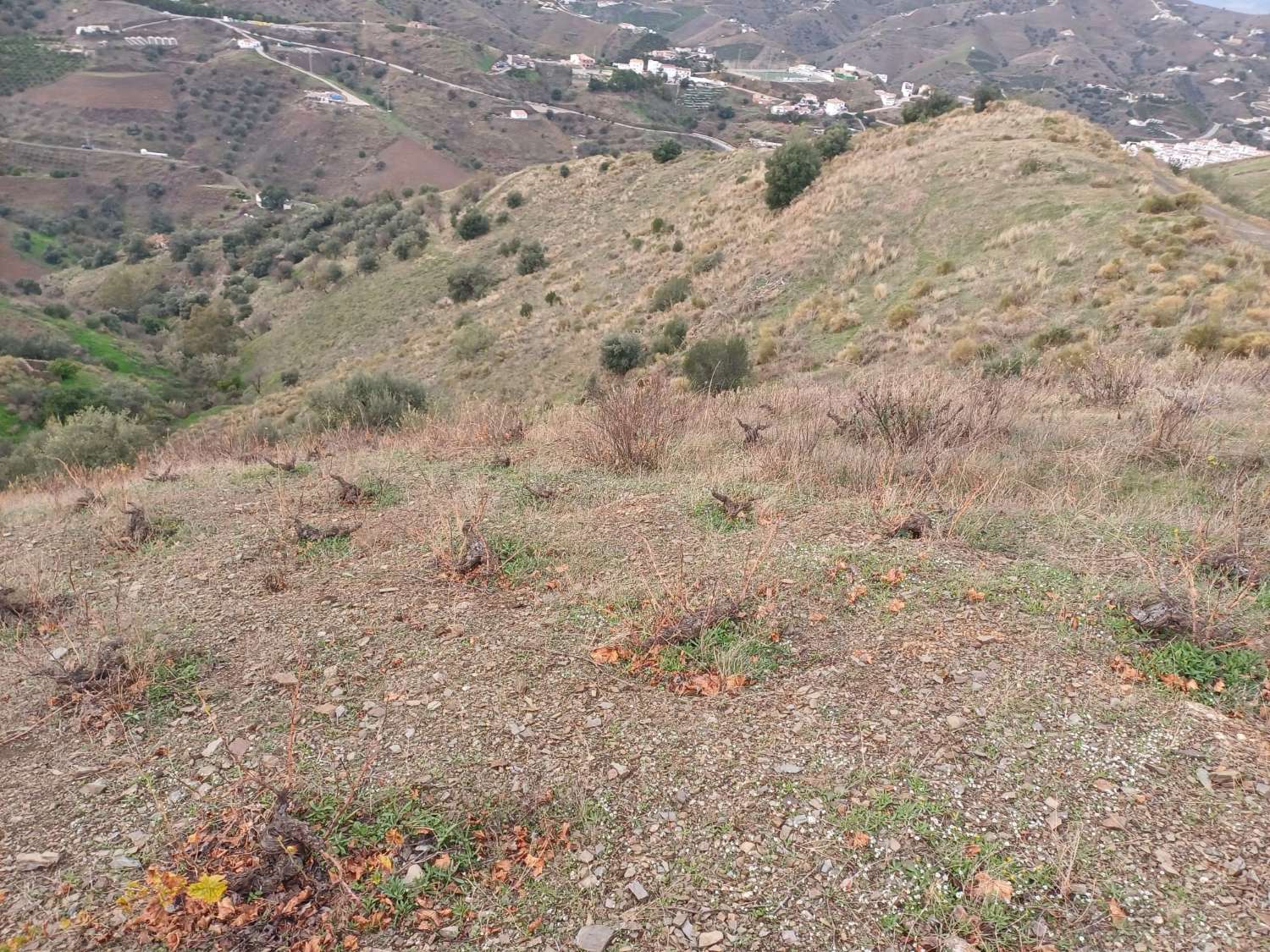 قطعة أرض للبيع في Almáchar