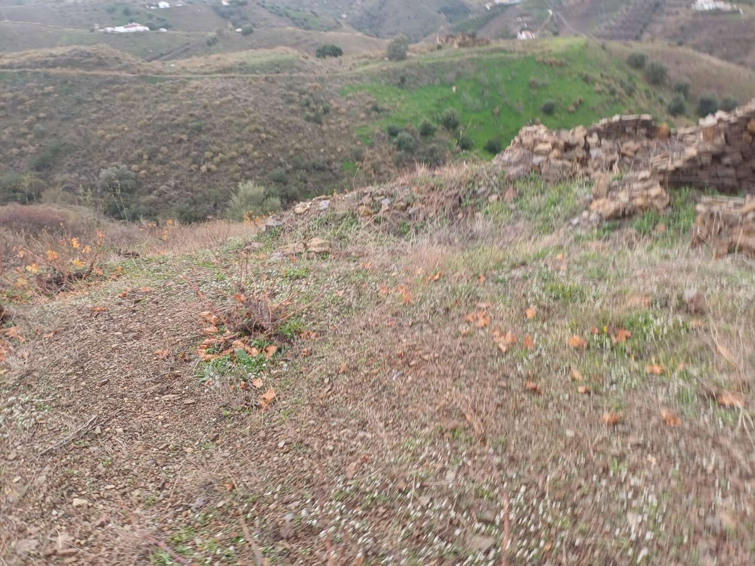 قطعة أرض للبيع في Almáchar