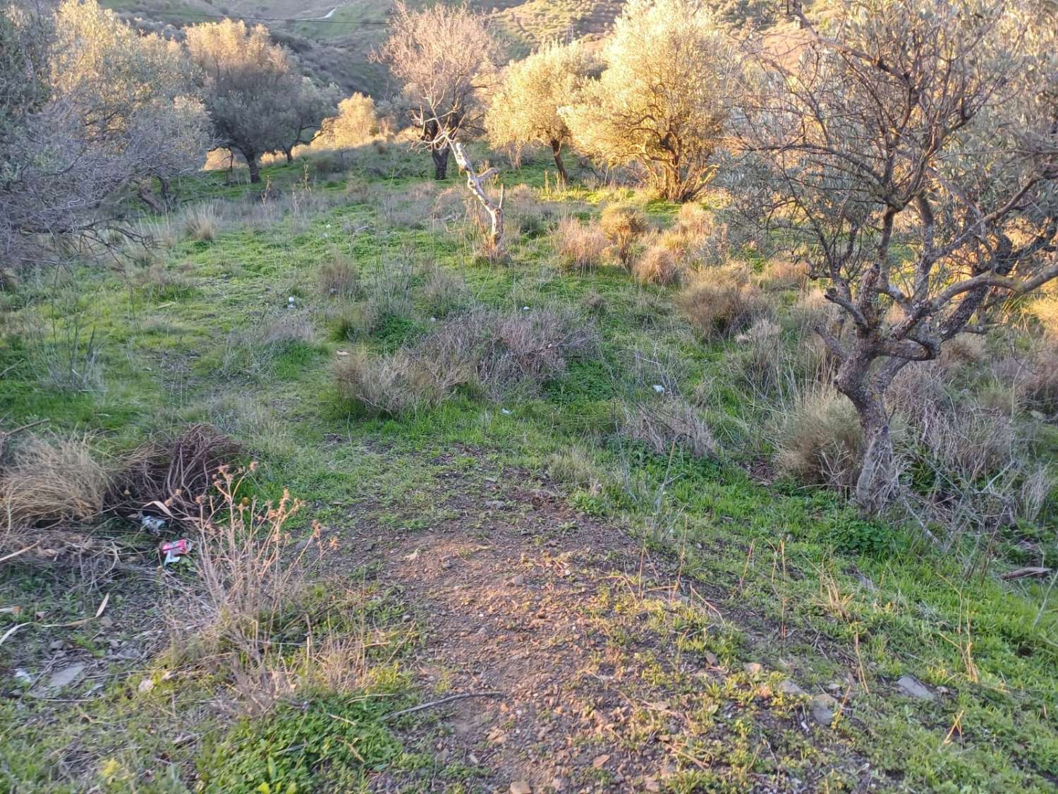 Terrain constructible à Moclinejo avec vue sur mer
