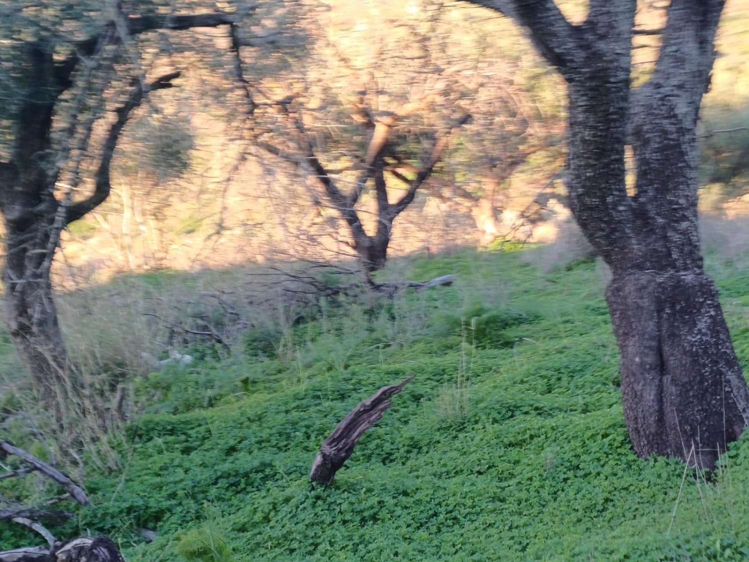 Terrain constructible à Moclinejo avec vue sur mer