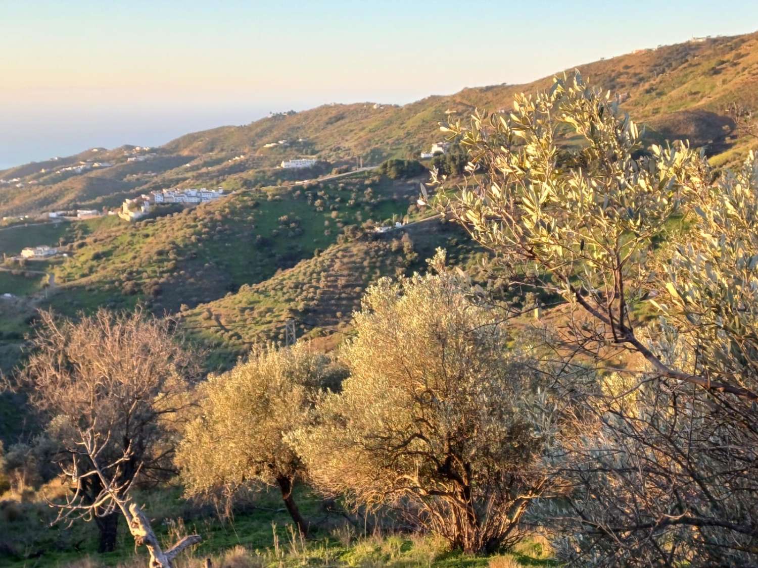 Terrain constructible à Moclinejo avec vue sur mer
