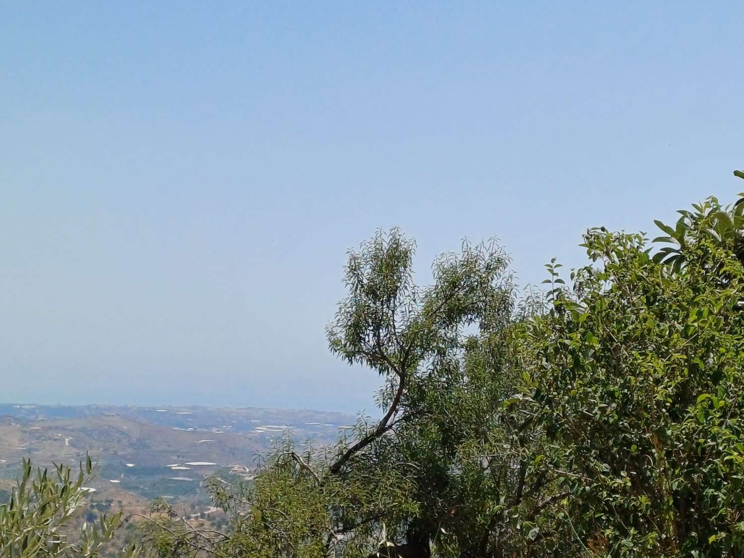 Solar en vallejos(macharaviaya) con vistas al mar