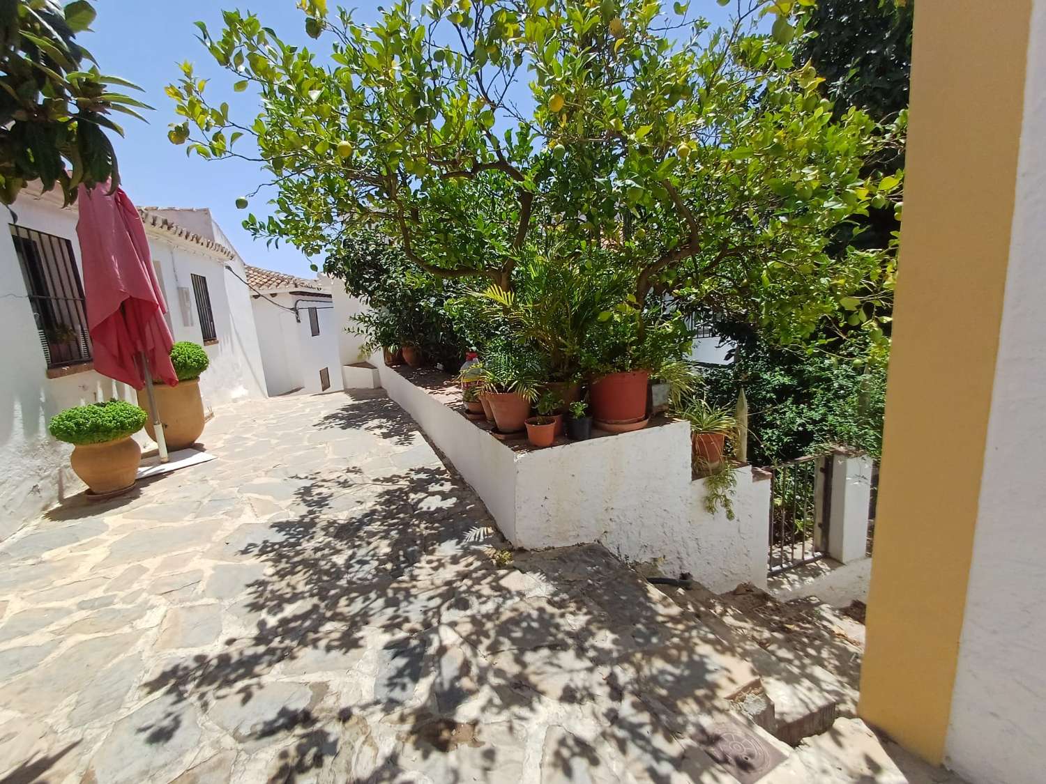 Solar en vallejos(macharaviaya) con vistas al mar