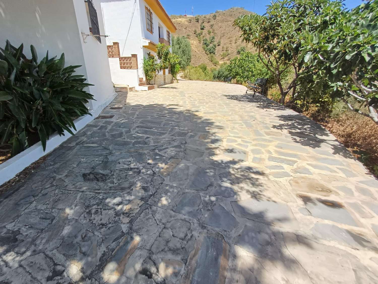 Solar en vallejos(macharaviaya) con vistas al mar